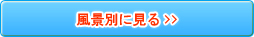 風景別に見る